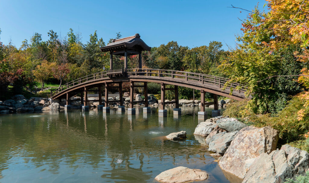 Интерактивные музеи и выставки для детей в Краснодаре